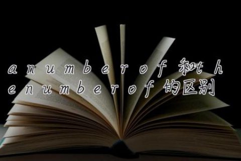 a number of和the number of的区别