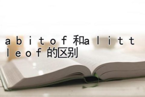 a bit of和a little of的区别