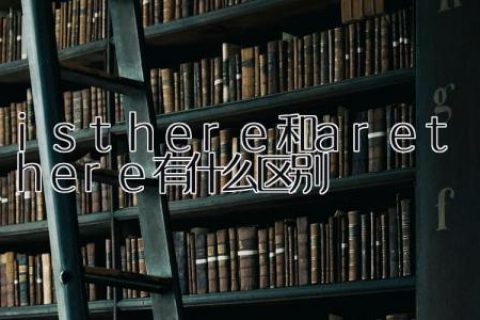 is there和are there有什么区别
