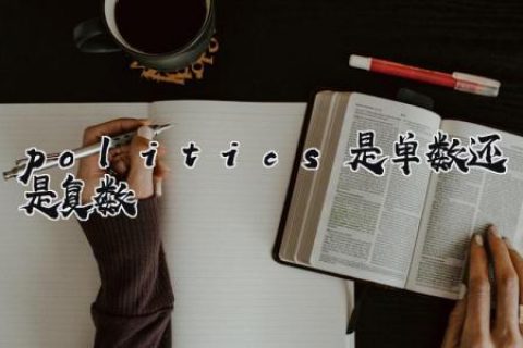 politics是单数还是复数