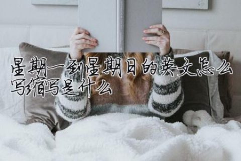 星期一到星期日的英文怎么写 缩写是什么