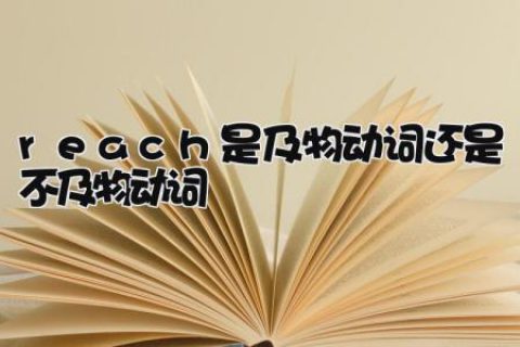 reach是及物动词还是不及物动词