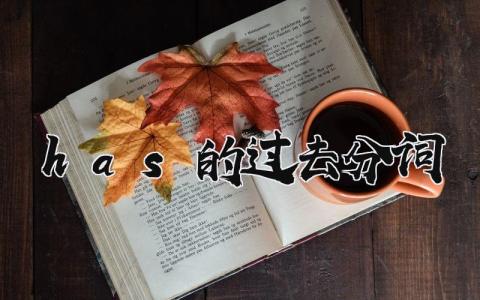 has的过去分词