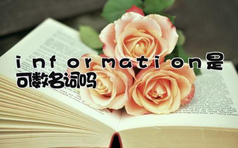 information是可数名词吗