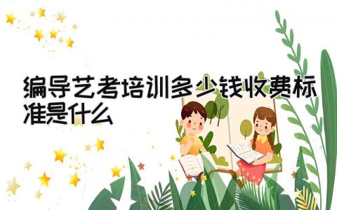 2024编导艺考培训多少钱 收费标准是什么