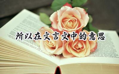所以在文言文中的意思