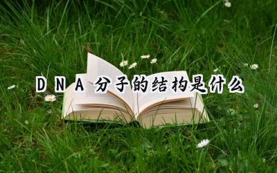 DNA分子的结构是什么