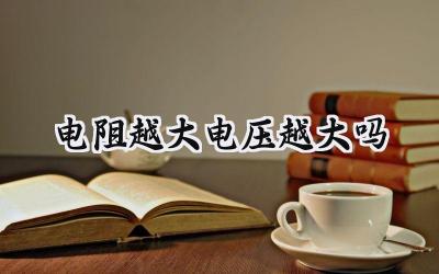 电阻越大电压越大吗