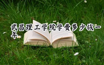 2024武昌理工学院学费多少钱一年