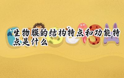 生物膜的结构特点和功能特点是什么