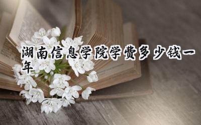 2024湖南信息学院学费多少钱一年
