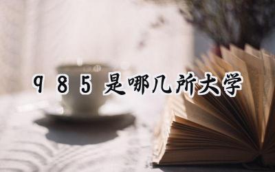 985是哪几所大学