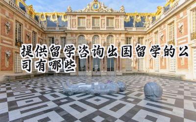 2024提供留学咨询出国留学的公司有哪些