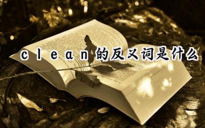 clean的反义词是什么