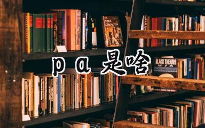 pa是啥