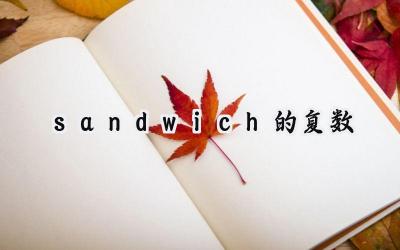 sandwich的复数