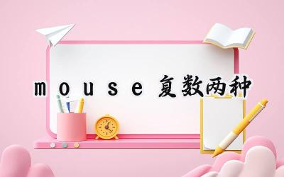 mouse复数两种