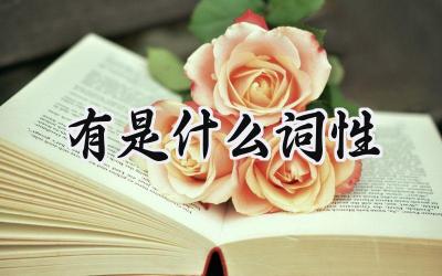 有是什么词性