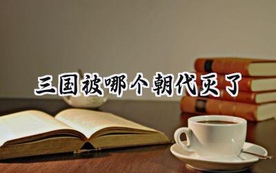 三国被哪个朝代灭了