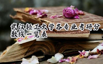 2024武汉轻工大学各专业考研分数线一览表