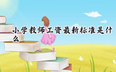 2024小学教师工资最新标准是什么