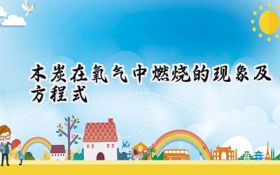 木炭在氧气中燃烧的现象及方程式