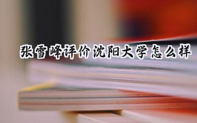 2024张雪峰评价沈阳大学怎么样