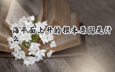 海平面上升的根本原因是什么