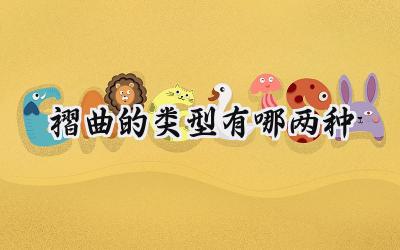 褶曲的类型有哪两种