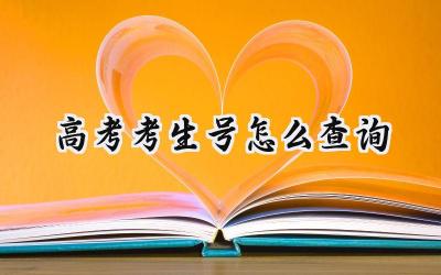 2024高考考生号怎么查询