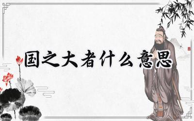 国之大者什么意思