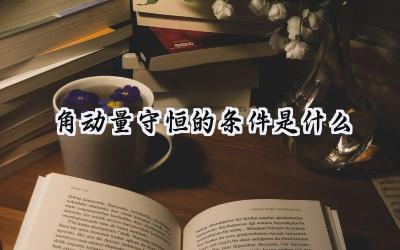 角动量守恒的条件是什么