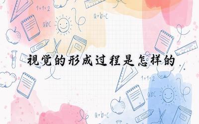 视觉的形成过程是怎样的