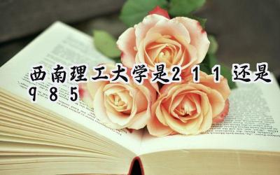 西南理工大学是211还是985