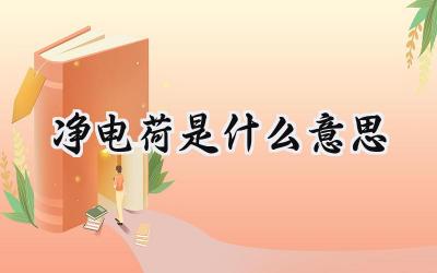 净电荷是什么意思