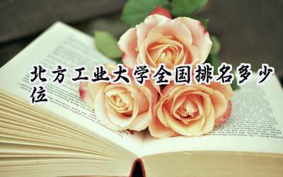 2024北方工业大学全国排名多少位