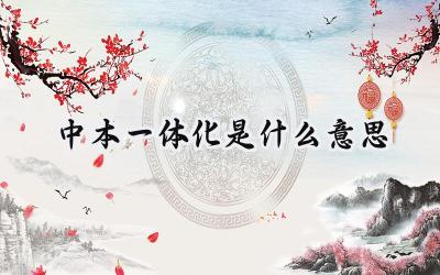 中本一体化是什么意思