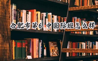 2024合肥市第6中国际班怎么样