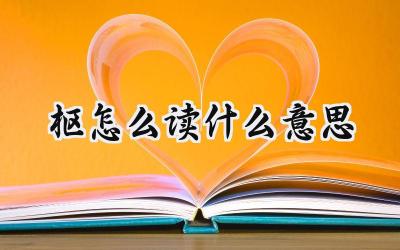枢怎么读什么意思