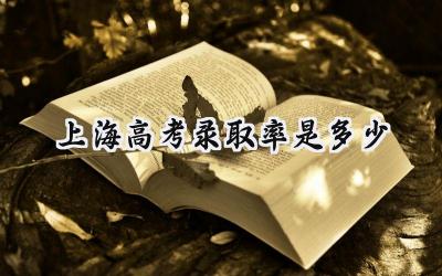 2024上海高考录取率是多少