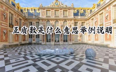 互质数是什么意思举例说明