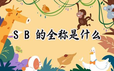SB的全称是什么