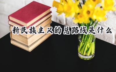 新民族主义的总路线是什么