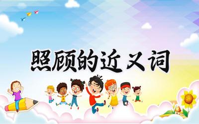 照顾的近义词