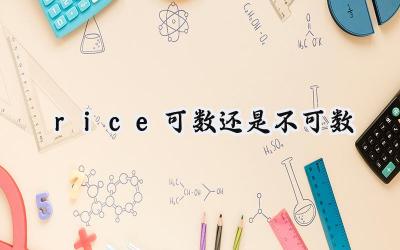 rice可数还是不可数