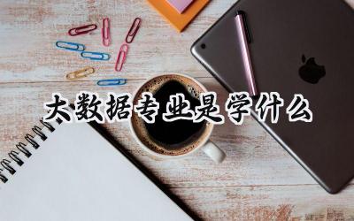 2024大数据专业是学什么