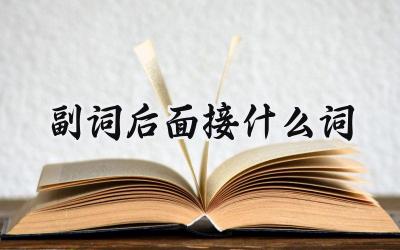 副词后面接什么词