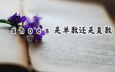 shoes是单数还是复数