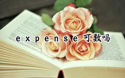 expense可数吗