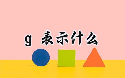 g表示什么